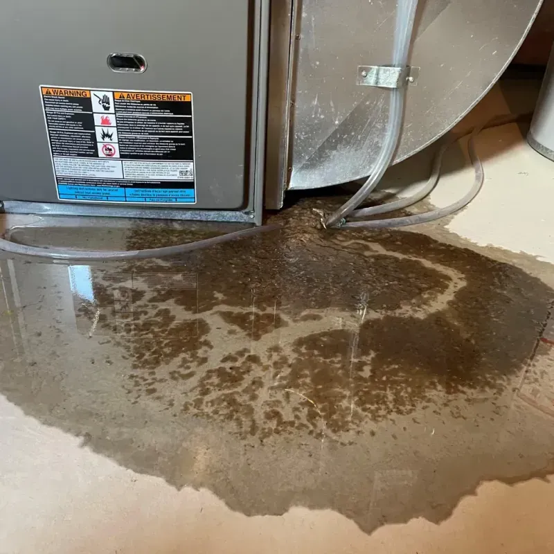 Appliance Leak Cleanup in Moyock, NC